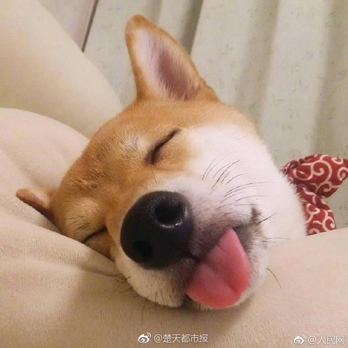 自知迷途by二飛小說txt寶書