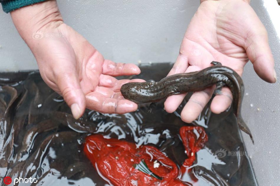 《小叔》雙男by百無禁忌筆趣閣在線閱讀