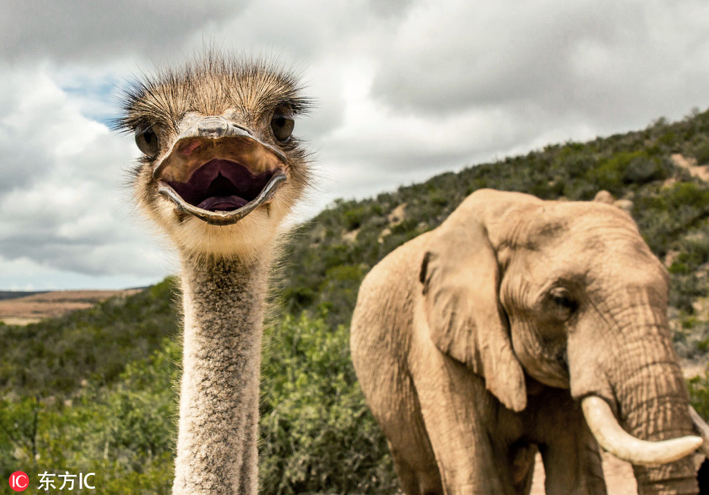 安撫by重音筆趣閣