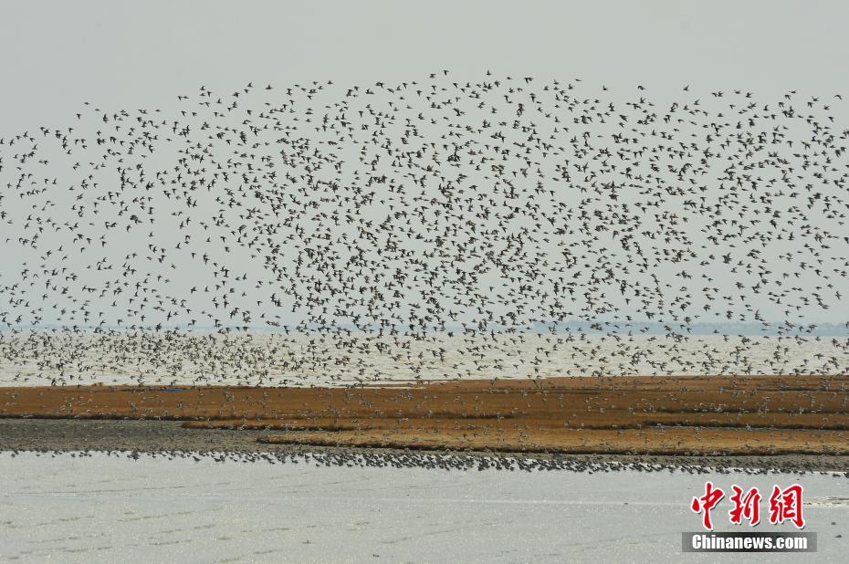 (娛樂圈pop1v1)溫柔軟腰