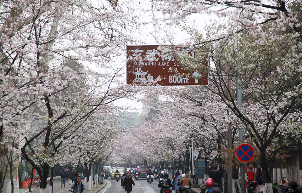 被游戲里的NPC做哭