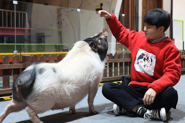 道詭異仙筆趣閣下載