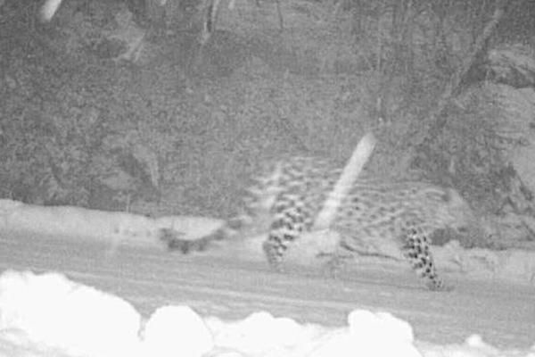 總裁全程撒糖寵文短篇