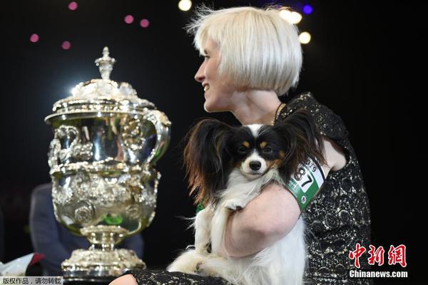 錯覺by藍淋內容是什么