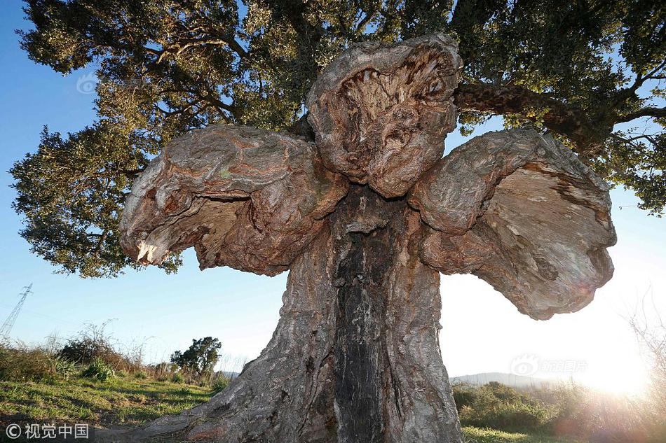 CCTV8破曉之愛國語版電視劇