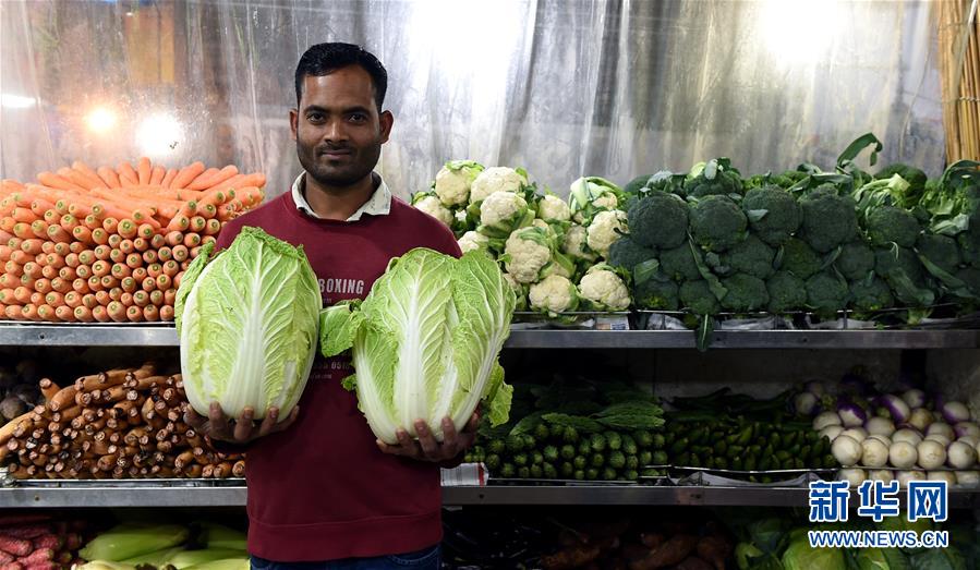 AW拍攝指南(第一部)筆趣閣txt