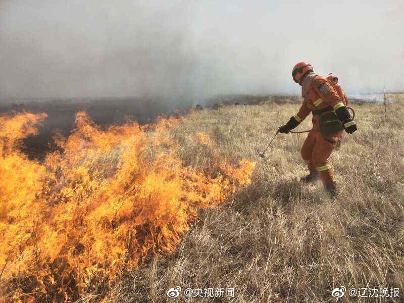 cc魔魚筆趣閣最新更新內容