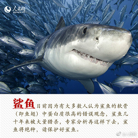 彩虹色暗戀by引路星講什么