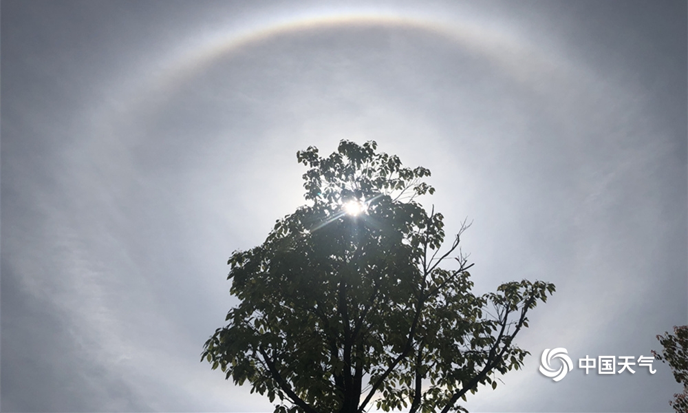 一葦山河謠TXT奇書(shū)網(wǎng)