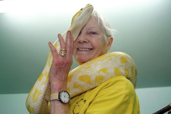 《相濡以沫的夜晚》動漫免費觀看