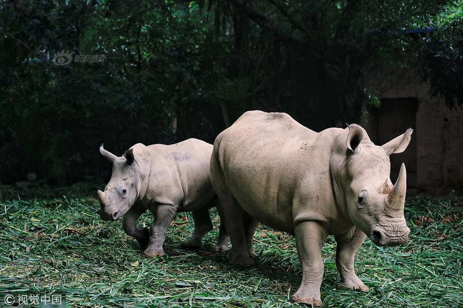 大寒(校園1v1)小說