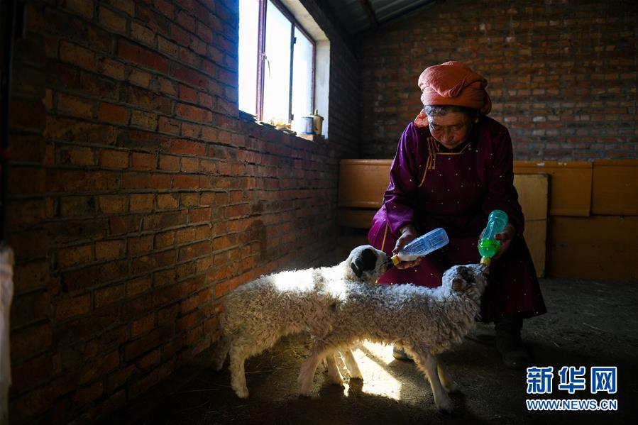 公主承歡(徐茉)