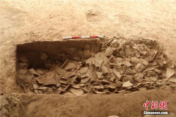 扁平竹全部小說TXT