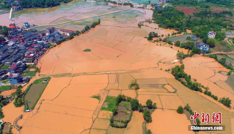 公開上位by遠上白云間閱讀講的什么