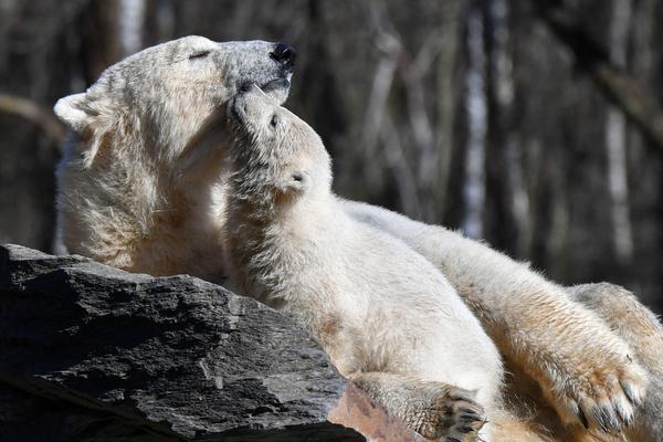 法國《勞拉與兒子》劇情介紹
