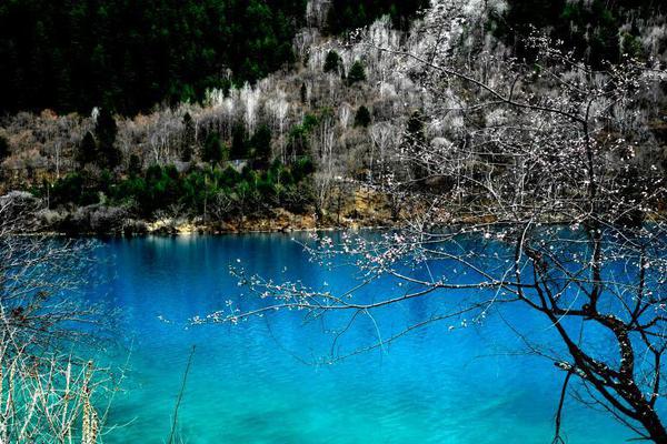 《最后100天》txt百度網盤