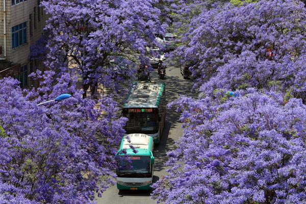 《金剛不壞》雙男主txt