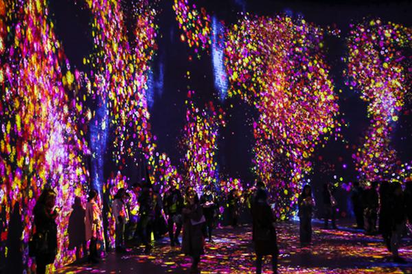 折青梅記番外txt百度云