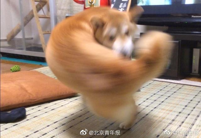 暴劫傾情截取的一段愛奇藝