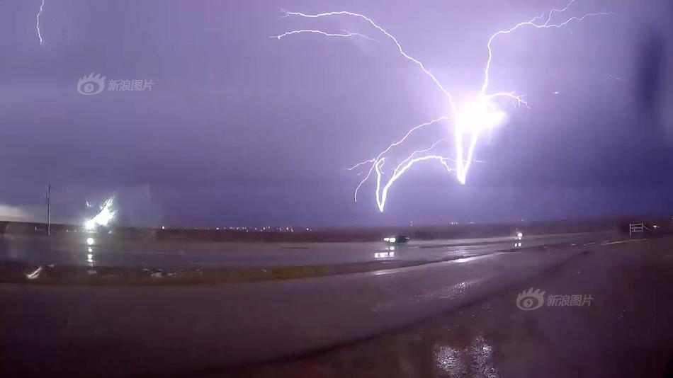 獨占美人總裁by