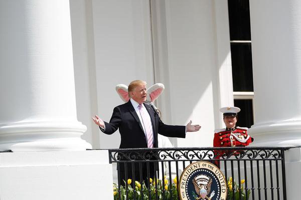 整篇都是車的多肉1V3比P