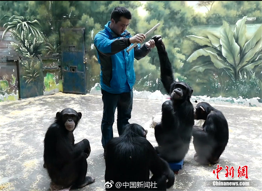 《小心肝》by夕陽看魚