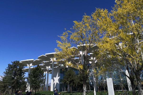 斬神小說TXT下載全本