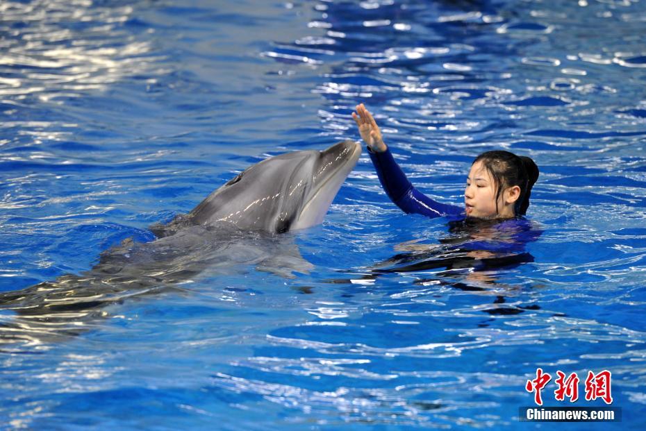 分開她的花卉小說