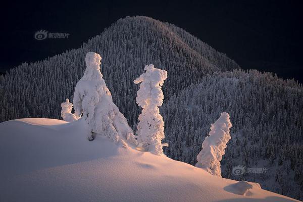 《世家妾》by刀豆