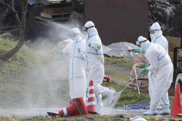 飛燕驚龍txt精校版