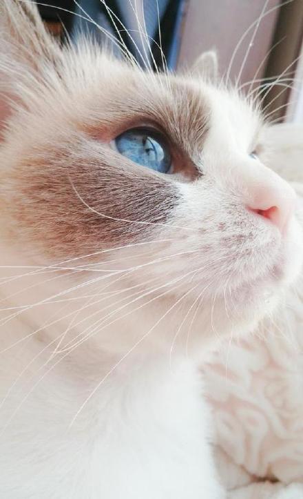 馥郁po筆趣閣無彈窗