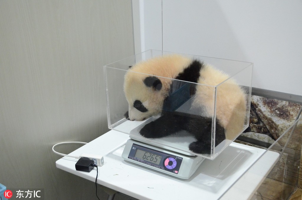 云煙成雨po筆趣閣