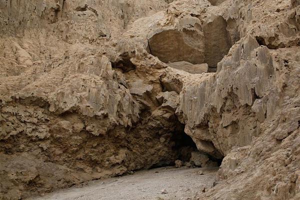 與雙重人格男友的日常by桃燃小說