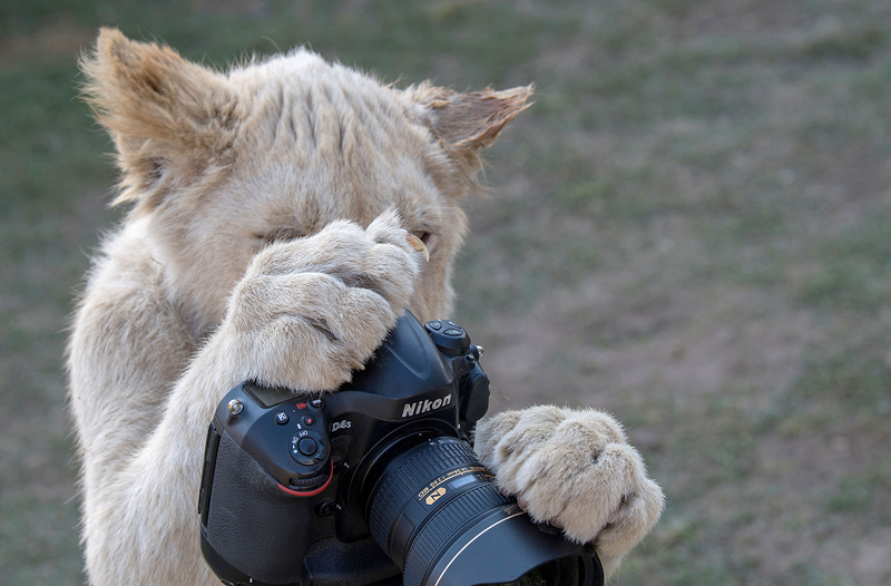 知安by民國小少爺免費閱讀