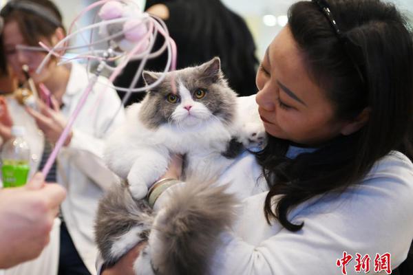 準備接受懲罰了嗎by阿司匹林免費閱讀