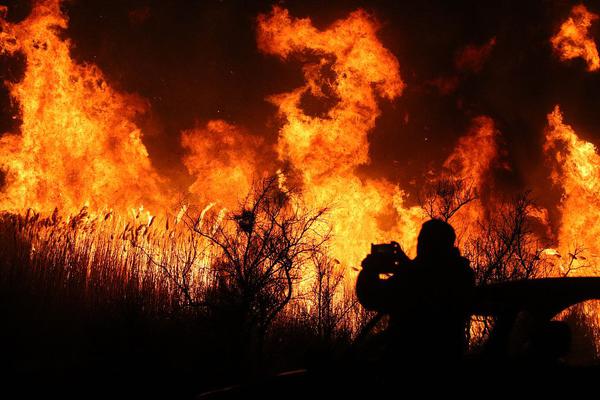 授課方式by肉餡小水餃百度云