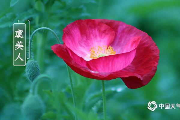 夜半兄臨by雪上隱