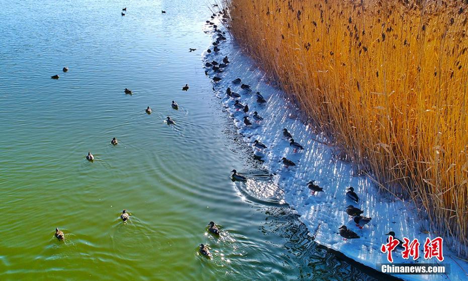 白少潔第1一40章目錄筆趣閣∈充電