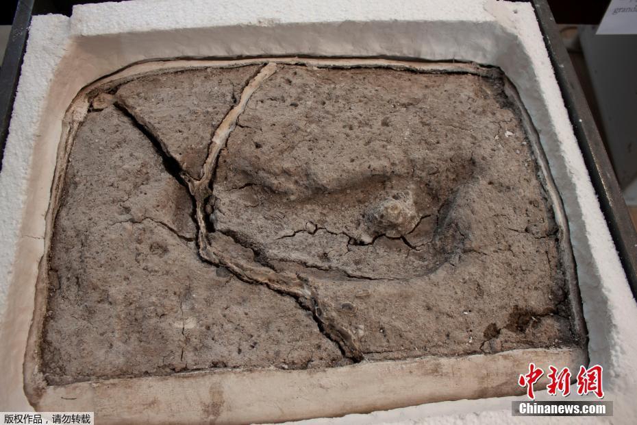 夾心玩物by筆趣