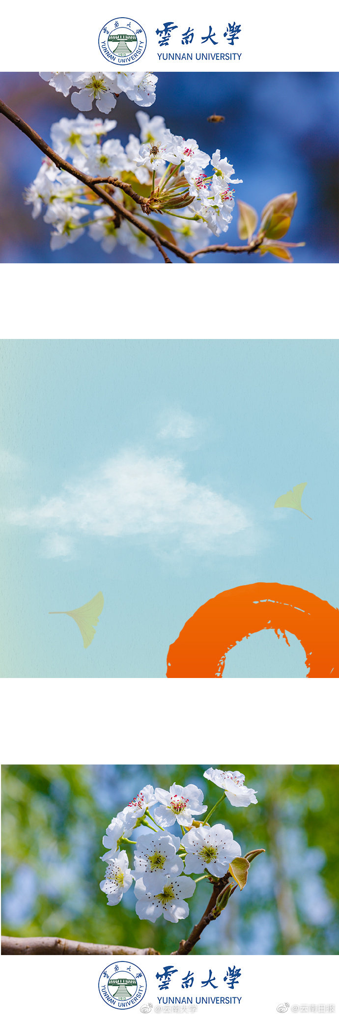 《非物質(zhì)遺產(chǎn)》by寒山茶灼百度網(wǎng)盤