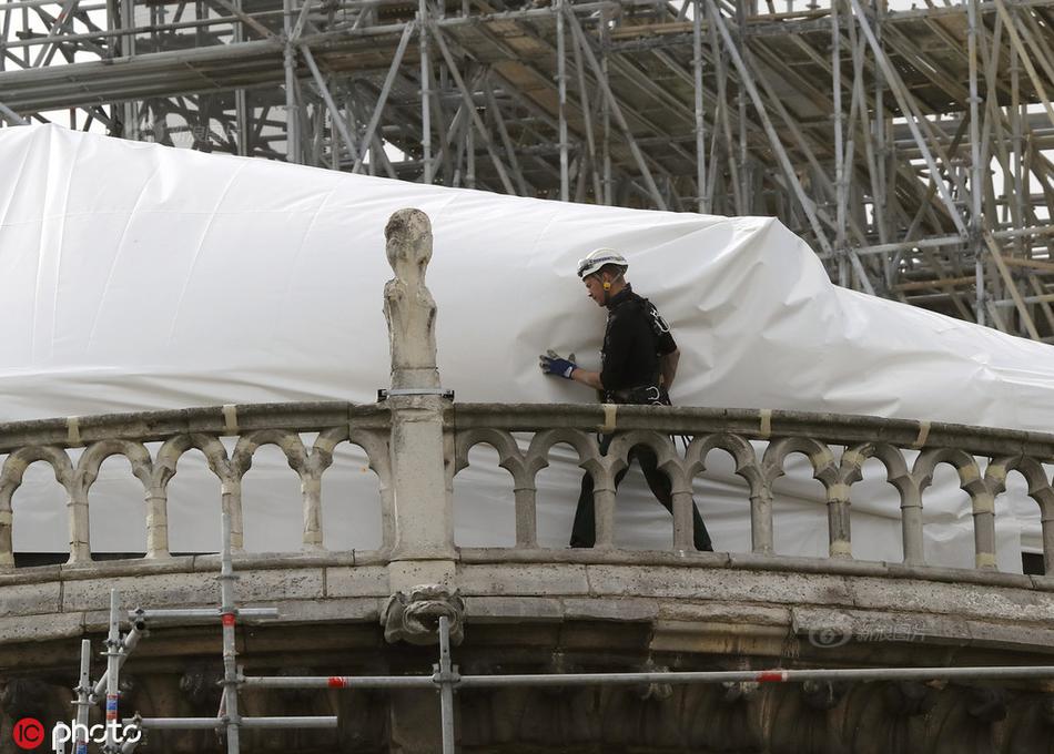 花季v3.072污版破解版