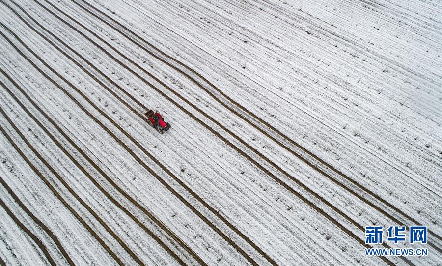 余生請(qǐng)多指教txt小說(shuō)百度云