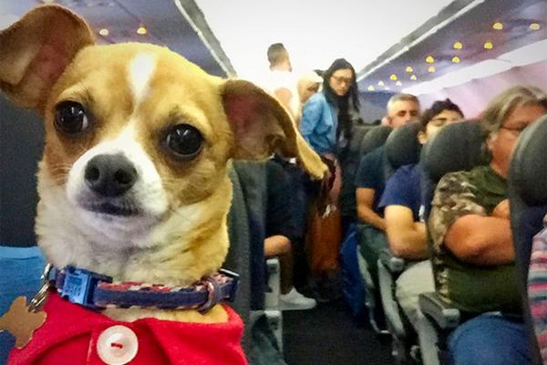 一塊遮羞布筆趣閣百合氪金氪到