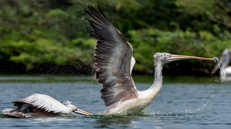 《再度失控》by陳若舟番外免費(fèi)閱讀