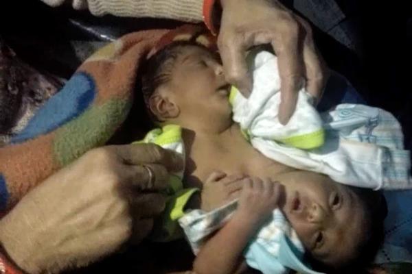 2025年海棠廢文txt.