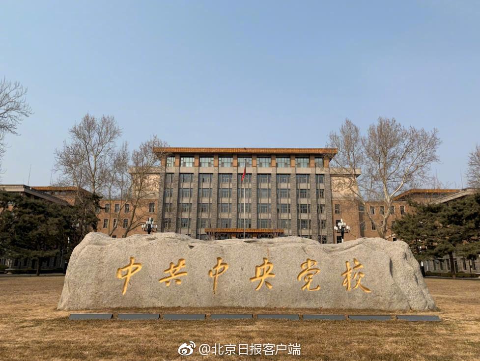 《折竹》TXT下載