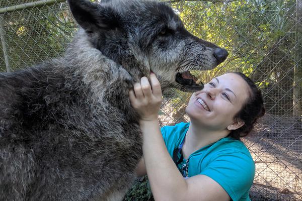 干涸地 by火風小說簡介