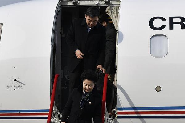 倚天屠龍記小說TXT下載全文