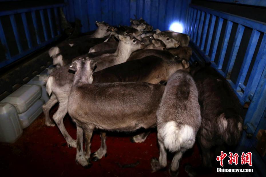 制服(校園1v1)作者:阿司匹林講的什么