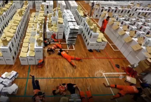 彼岸花小花貓txt百度網盤資源